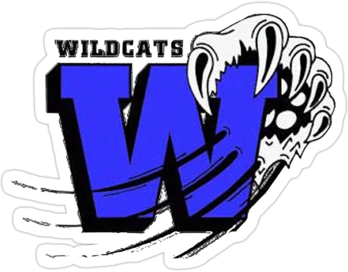 Excelsior High School Logo